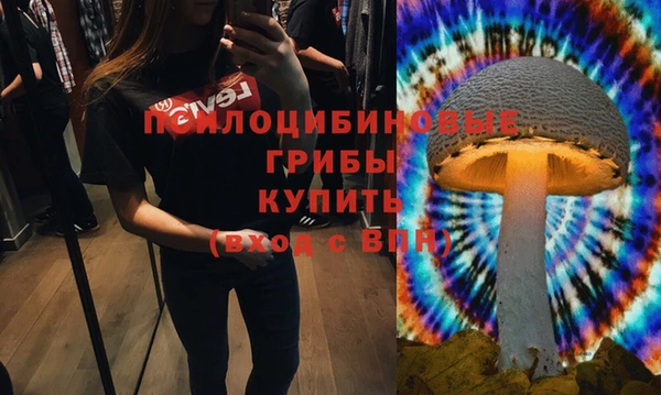 гидропоника Вяземский