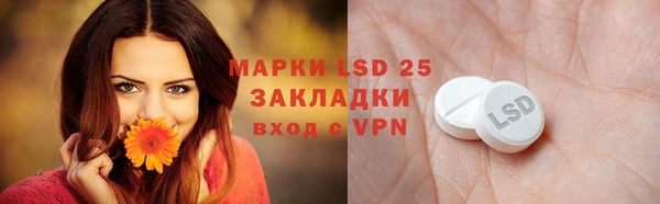 apvp Вязьма