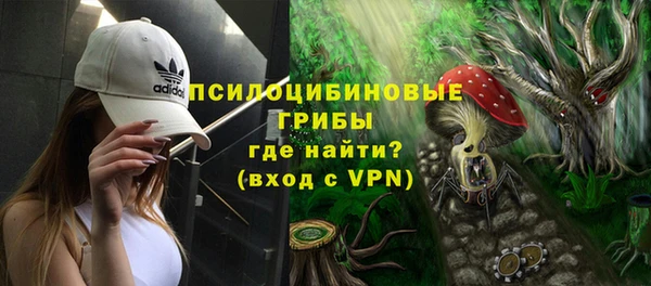 apvp Вязьма