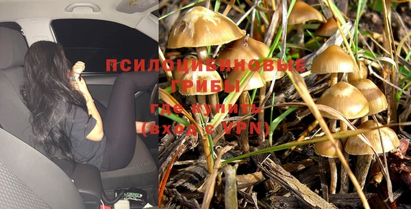 мескалин Вязники