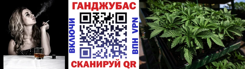 сколько стоит  Артём  Шишки марихуана план 